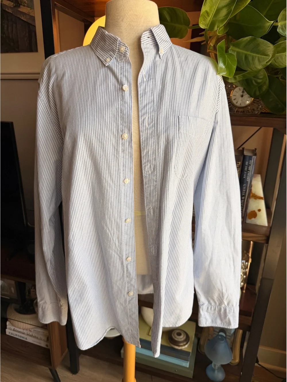 J.Crew Slim Fit Blue and White Striped Cotton Button-Down Shirt, Size Large